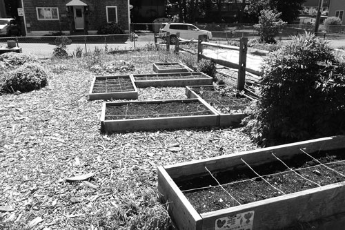 木製野菜栽培床