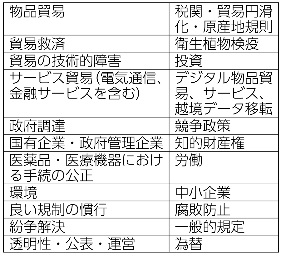 表　米国が想定する包括的な「日米貿易協定」の分野