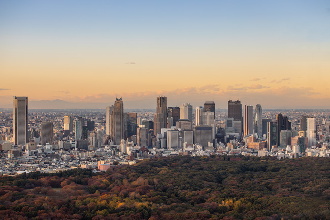 &copy;（公財）東京観光財団　都心空撮